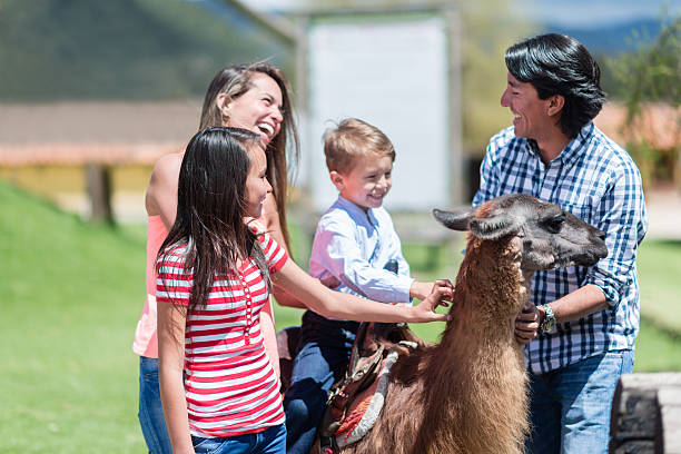 Family at an animal park