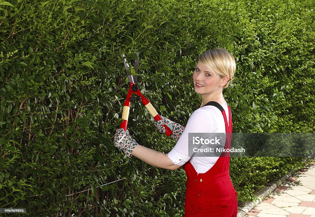 happy blonde young woman with hedge trimmers  1 happy blonde young woman with hedge trimmers Activity Stock Photo