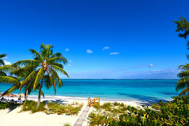 Steps at Grace Bay Beach in Turks and Caicos A sunny day at Grace Bay Beach in Providenciales, Turks and Cacos. A walkway on a white sandy is bordered by palm trees and plants. The calm ocean stretches out towards the horizon under a deep blue sky. grace bay stock pictures, royalty-free photos & images