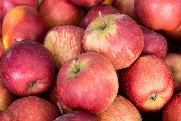 istock pile of apple fruit 496970469