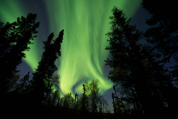 Northern Lights en Yellowknife - foto de stock