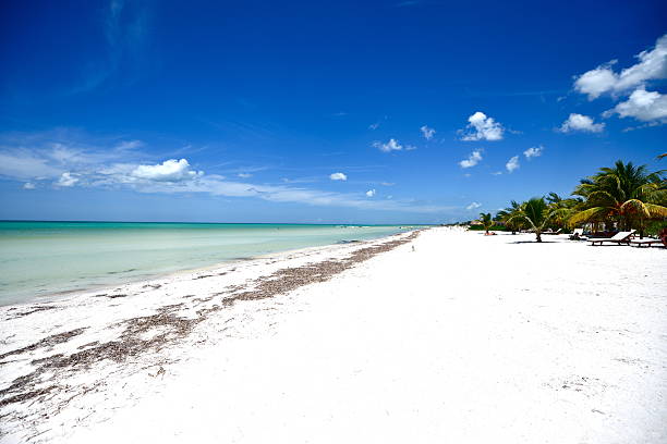 Plage de Holbox, Mexique - Photo