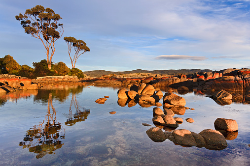 Australia Tasmania Bay of FIres still pacific ocean waters between boulders with red marks of bacteria reflecting at sunrise sunny morning
