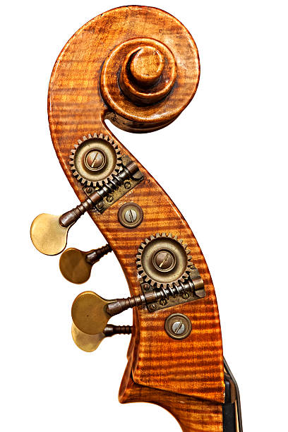 istock Double Bass detail 496971795