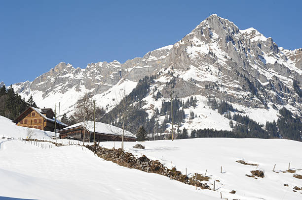istock Winter landscape of Engelberg 496971959