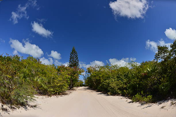 istock Sandy road to bliss on Pine Cay. 496972439