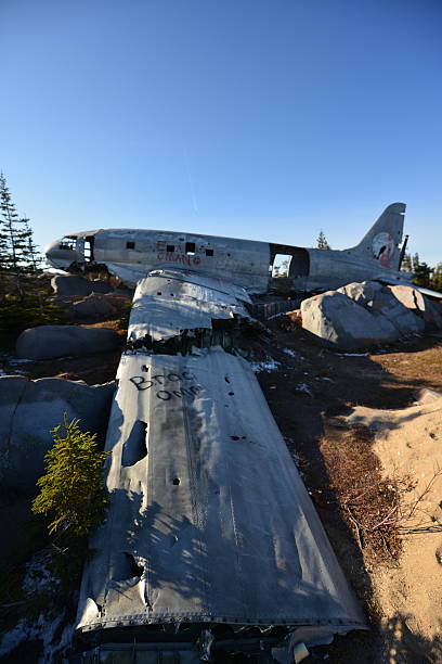 istock Miss Piggy Plane Wreck 496972789