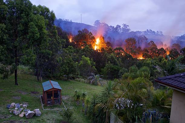 Bushfire approaching home at twilight stock photo