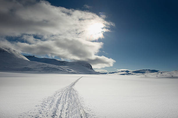 istock Snowy Path in the winter Landscape 496972965