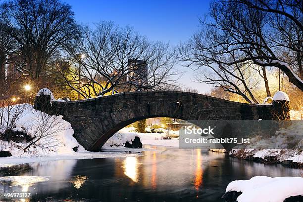 New York City Central Park Bridge In Winter Stock Photo - Download Image Now - Architecture, Blue, Bridge - Built Structure