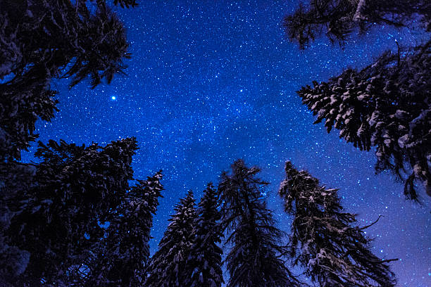 istock night sky with milky way and snow-covered trees 496976924