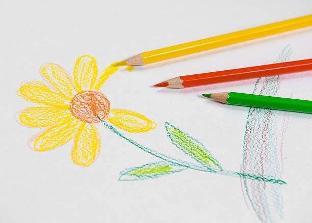 istock Sketched drawing of flower 496977330