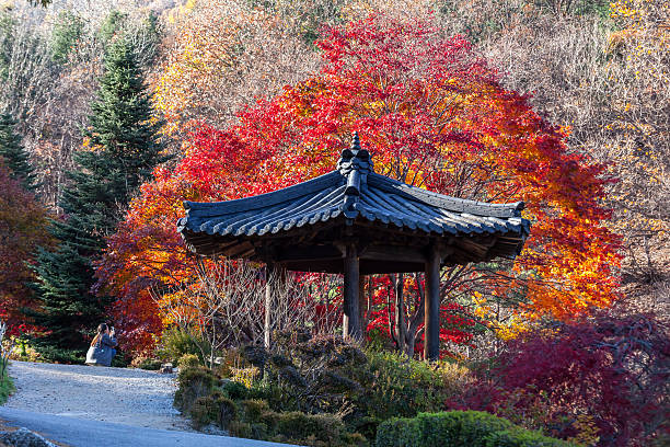 istock Autumn in South Korea 496977556