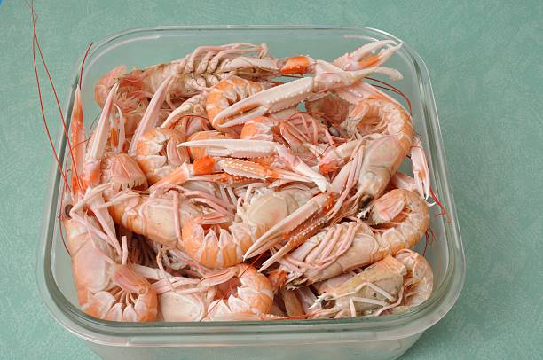istock Close-up of three scampi 496978084