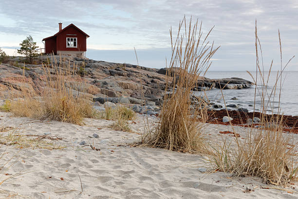 istock Archilelago and cottage in morning light 496979148