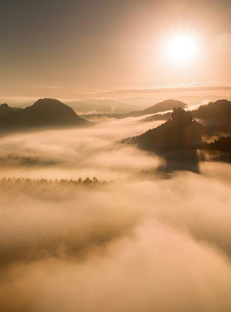 istock Autumn sunset view, fall forest valley full of dense mist 496980270