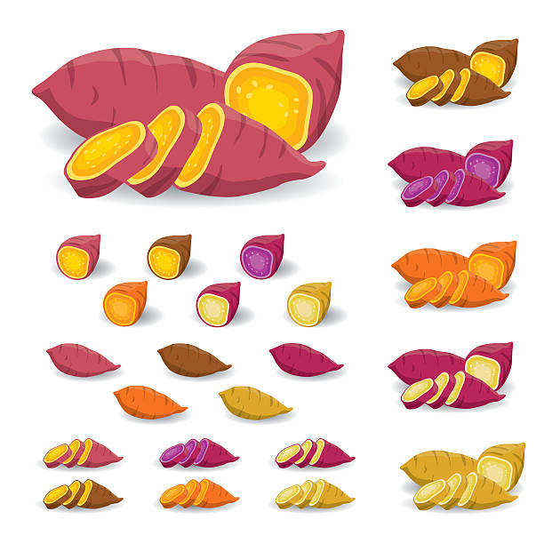 süßkartoffel-vektor - raw potato isolated vegetable white stock-grafiken, -clipart, -cartoons und -symbole