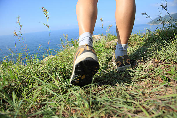 istock woman hiker legs hiking on seaside mountain grass 496982996