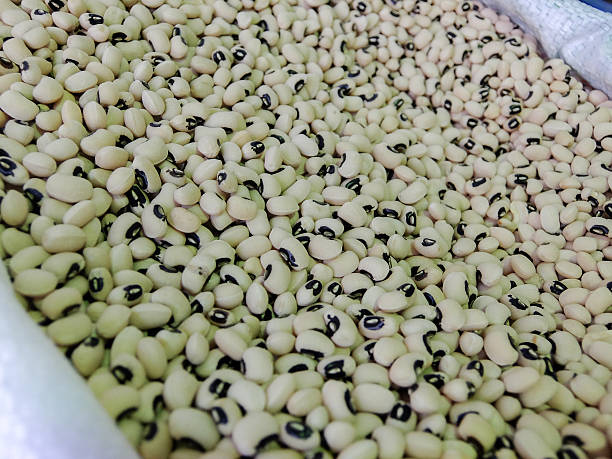 istock Beans on the market 496986816