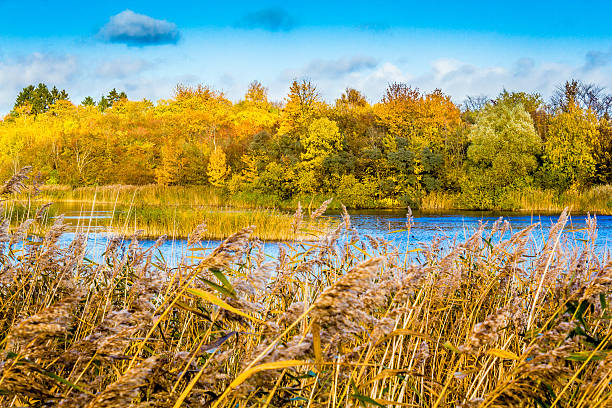 istock Autumn in colors 496989258