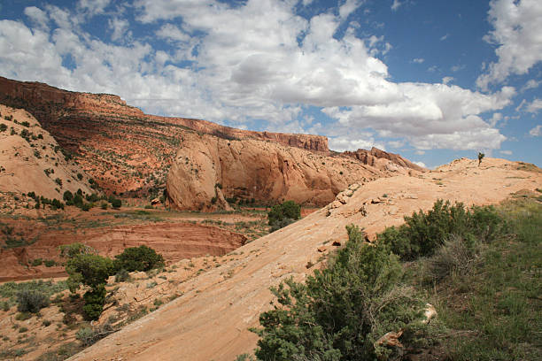 istock Zion National Park Landscape 496989755