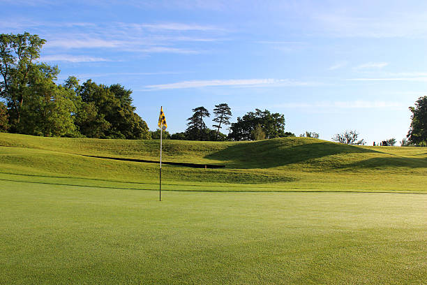 istock Image of flag / hole / putting green at scenic golf course 496991013