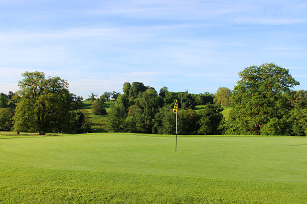 istock Image of flag / hole / putting green at scenic golf course 496991021