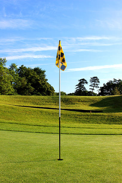 istock Image of flag / hole / putting green at scenic golf course 496991049