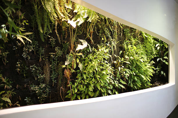 istock Vertical living plant wall indoors 496991119