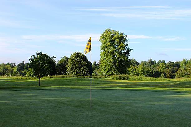 istock Image of flag / hole / putting green at scenic golf course 496991955