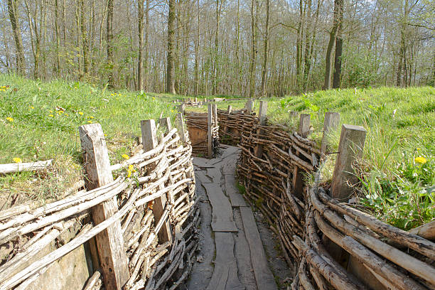 istock Bayernwald German Trenches great world war Flanders Belgium 496993479