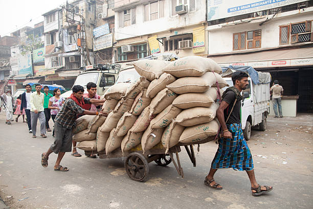 New Delhi, India - October 26, 2013.  A group of Indian porters move sacks full of spices through the streets of the old part of the city.