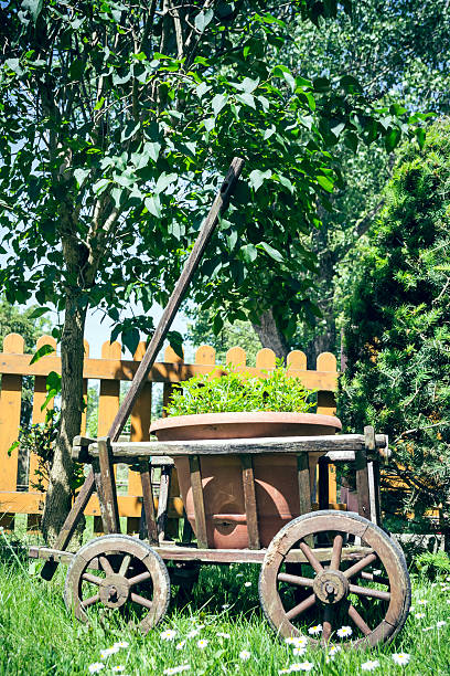 istock Hand cart with flower pot 496996545