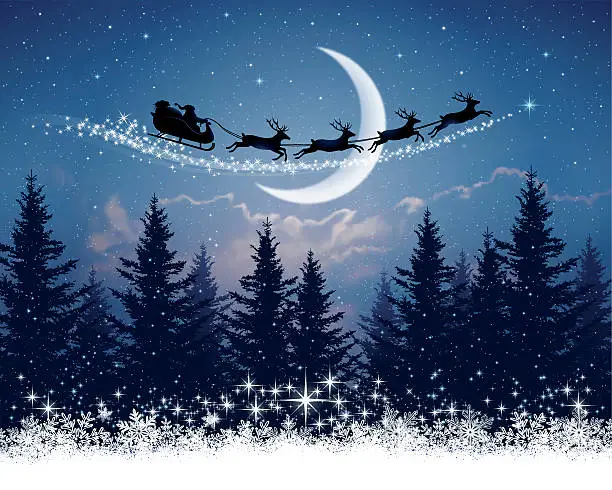 Vector illustration of Santa Claus and his sleigh on Christmas night