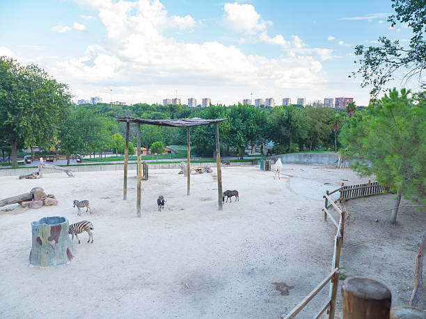 The Zoo gardens and parks