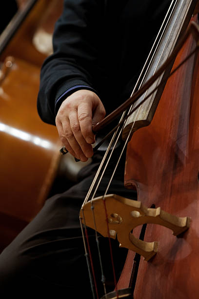 istock Hand of a man playing the contrabass 496999772