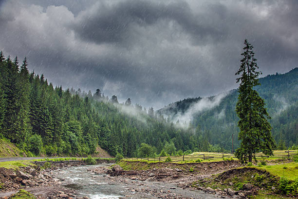 rainstorm w góry - forest transylvania rain fog zdjęcia i obrazy z banku zdjęć