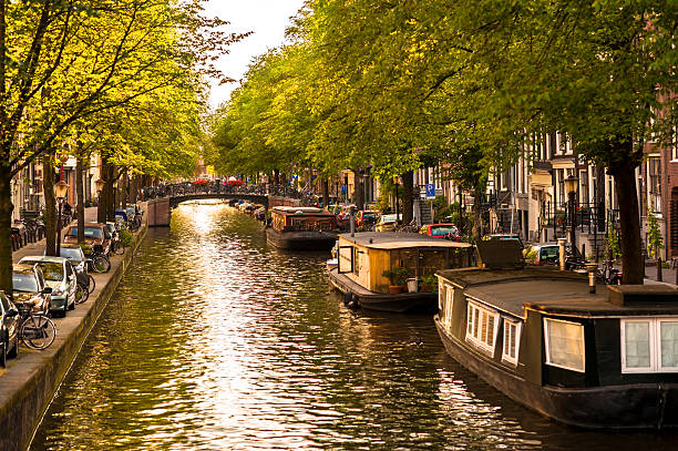 istock Houseboats on Amsterdam Canal 497003247