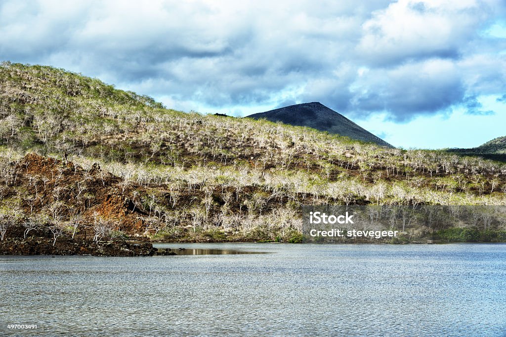 Floreana paesaggio dell'isola, Isole Galapagos - Foto stock royalty-free di Albero del palo santo