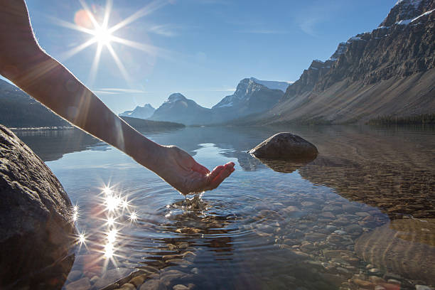 umani mano a pugno di prendere acqua fresca di montagna lago - bow lake foto e immagini stock