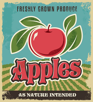 Retro apple vintage advertising poster - Metal sign and label design. Removable texture applied. Vector illustration for fresh apples