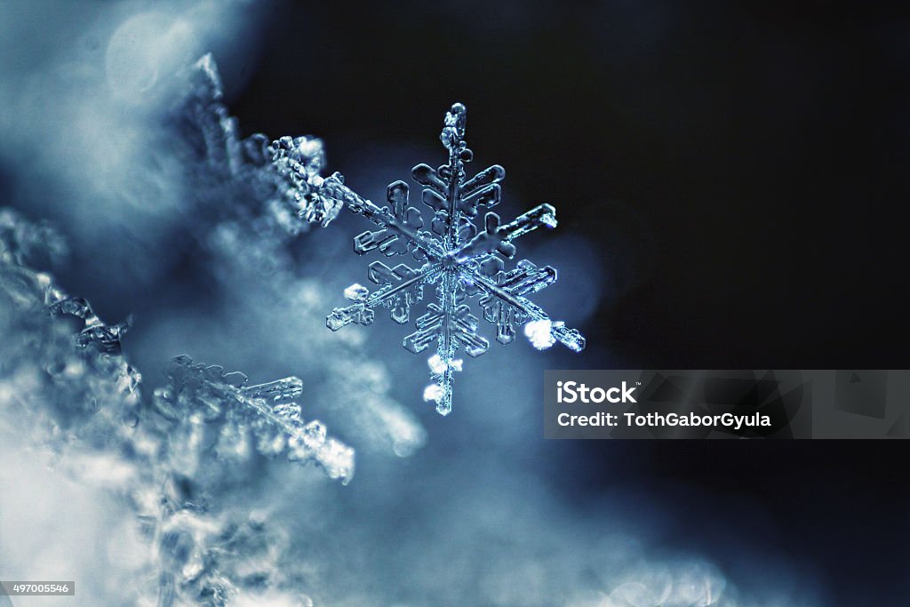 Real copo de nieve macro - Foto de stock de Copo de nieve libre de derechos