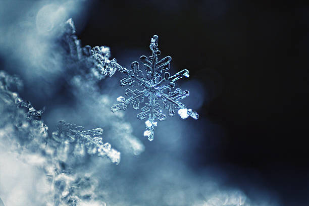 real snowflake macro - macrofotografie fotos stockfoto's en -beelden