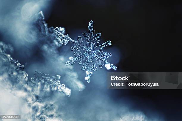 Real Snowflake Macro Stock Photo - Download Image Now - Snowflake Shape, Snow, Macrophotography