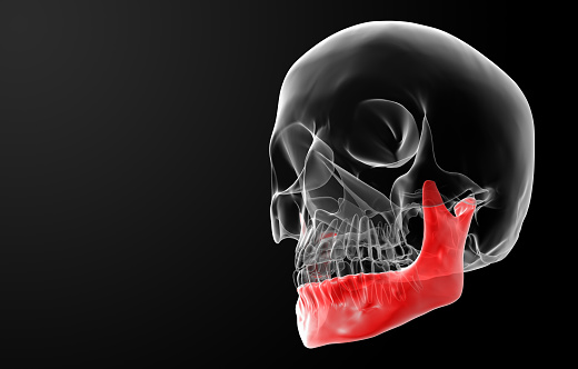 3d rendered illustration - jaw bone 