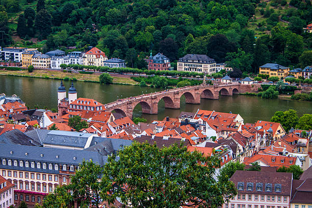 istock Aerial view of Heidelberg 497005927