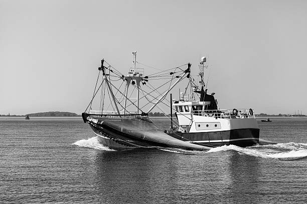 istock Sailing fishing boat 497007653