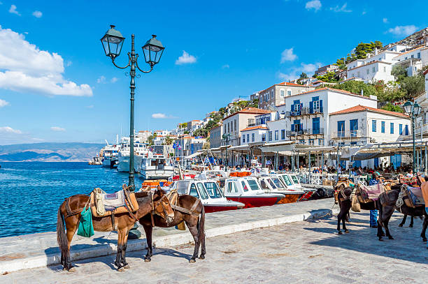 Peaceful island of Hydra Hydra, Greece - 03 October, 2015: Tourists are sitting in the restaurants of the port of Hydra. ass horse family photos stock pictures, royalty-free photos & images