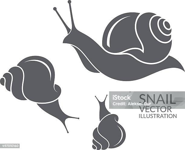 Snail Stock Illustration - Download Image Now - Snail, Vector, 2015