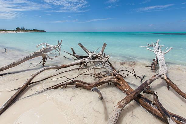 istock Wild beach of Cuba 497010434